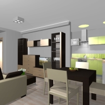 visualizationMiniature5